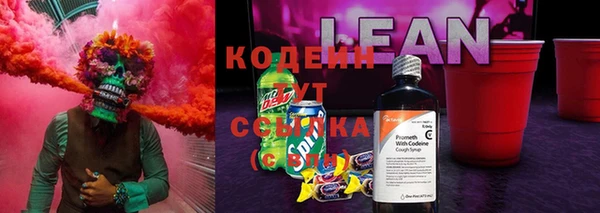 ешки Аркадак