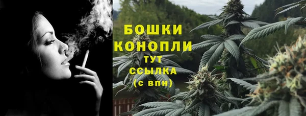 ешки Аркадак