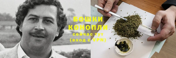 ешки Аркадак
