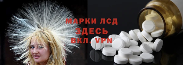 ешки Аркадак