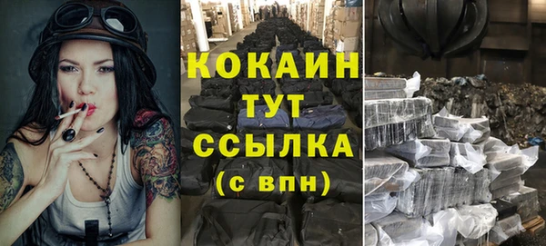 ешки Аркадак